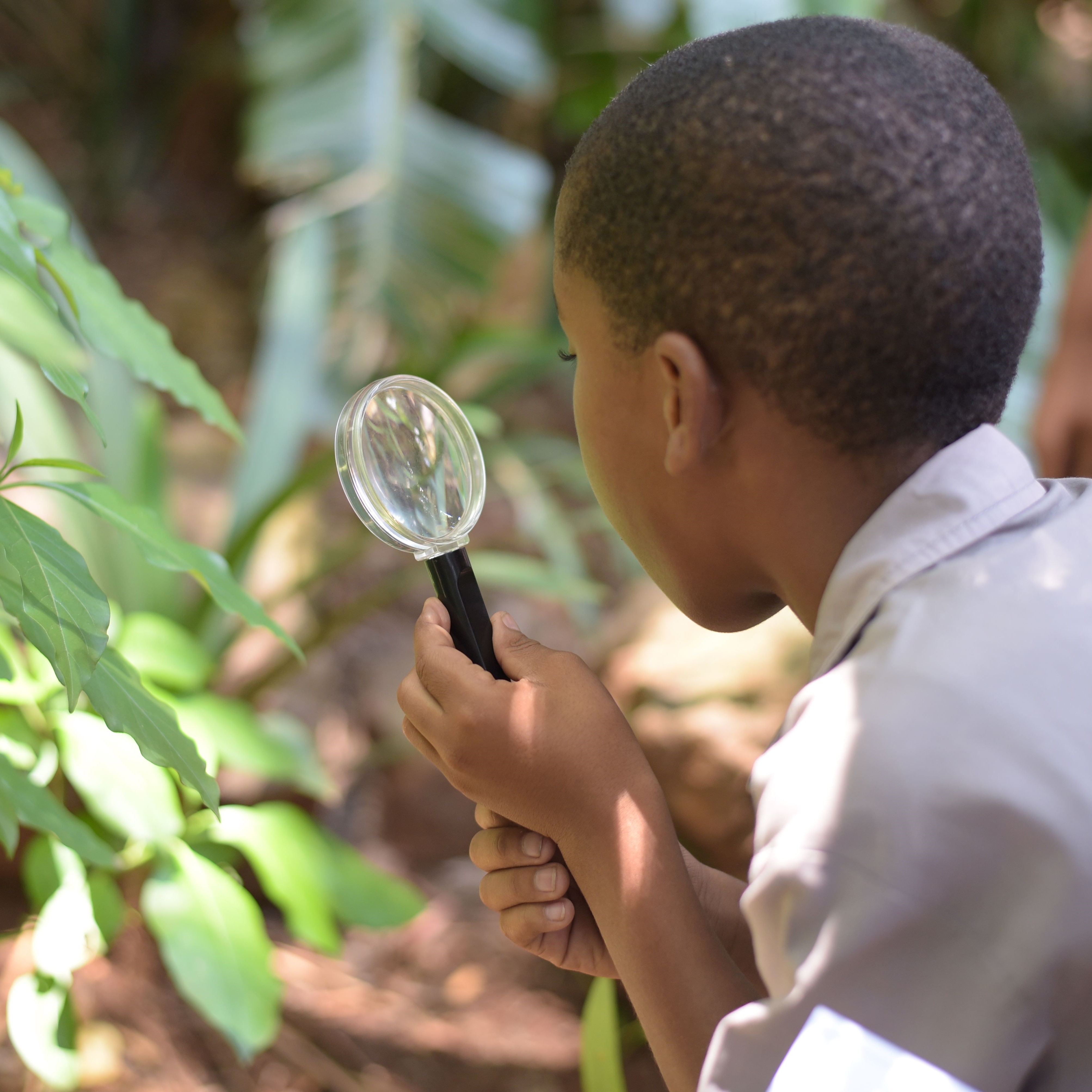 Outdoor Education: Using Nature as a Classroom