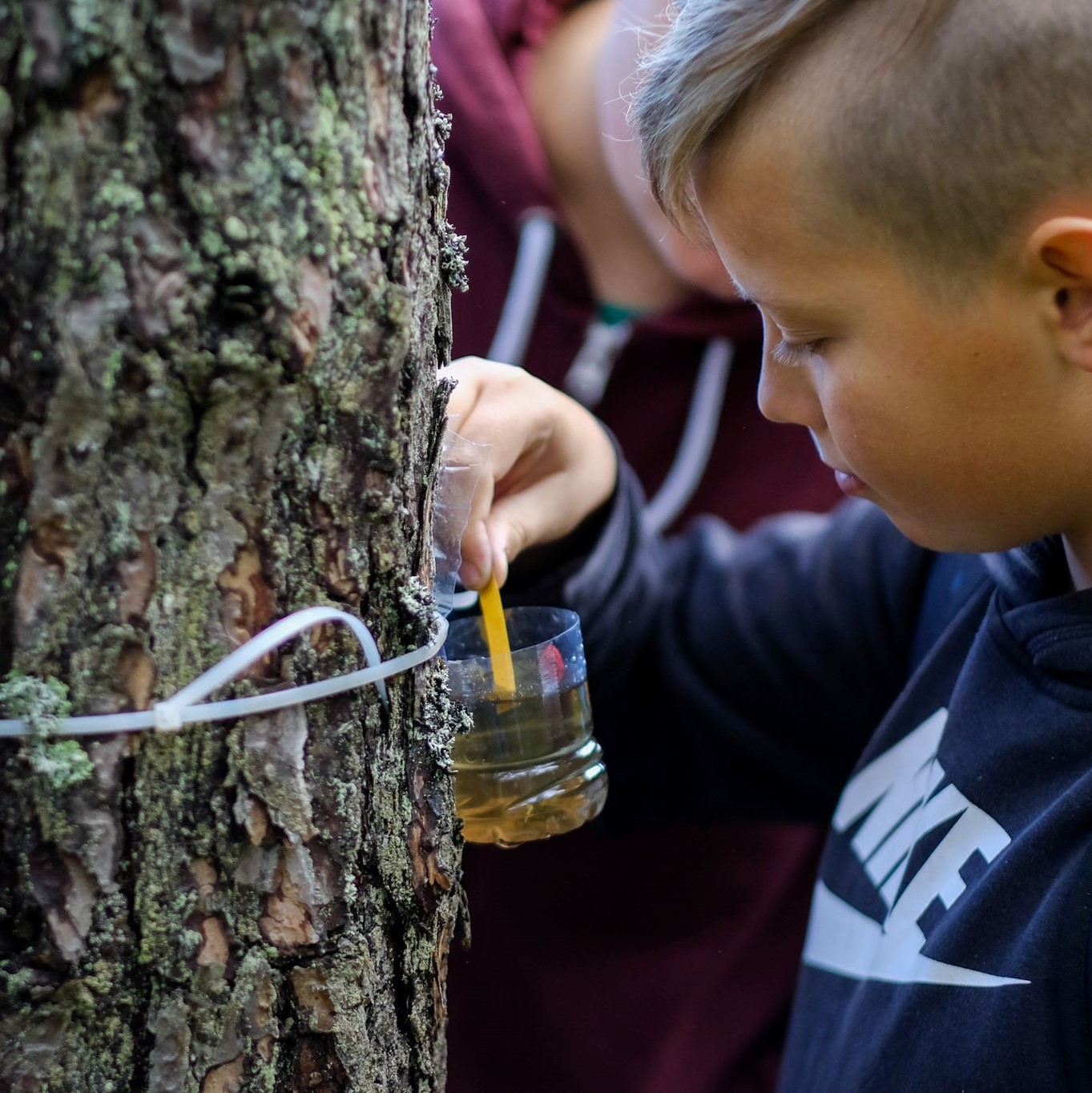 Introduction to Environmental Literacy