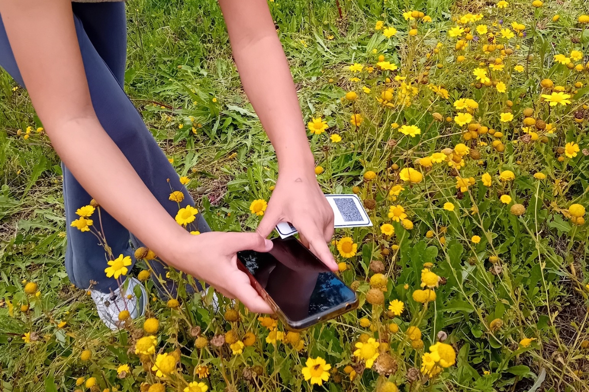 Storytelling for Climate Action: Photography with YRE